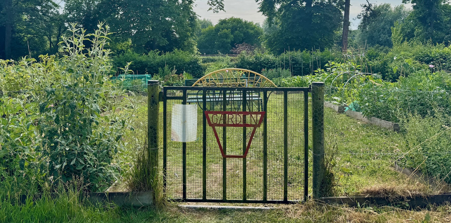 Enterprise Badingham 2 garden plots available