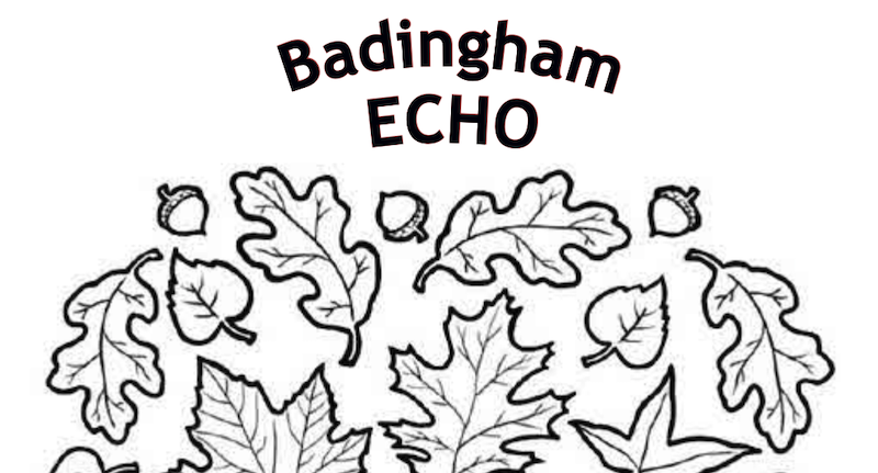 Badingham Echo